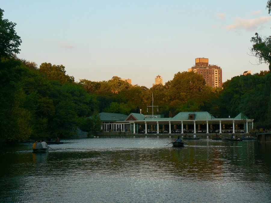 Central Park: Central Park 124